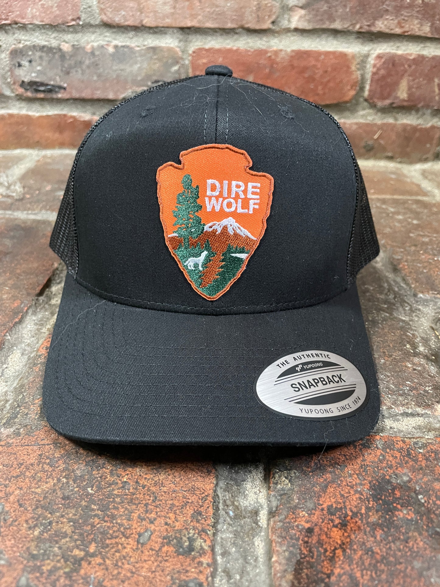 Dire Wolf baseball Hat