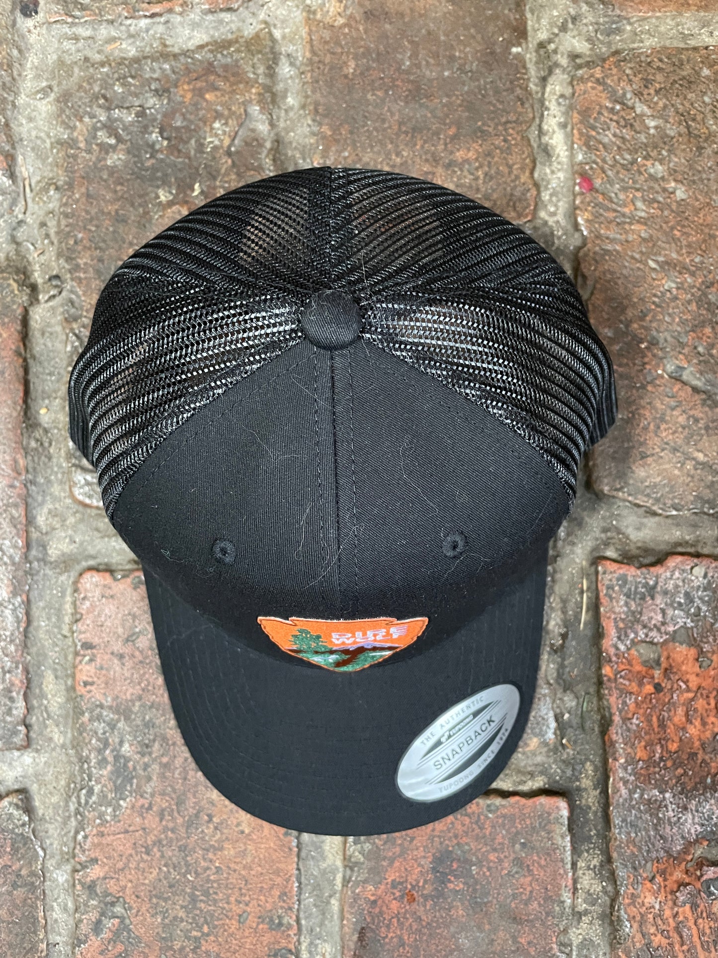 Dire Wolf baseball Hat