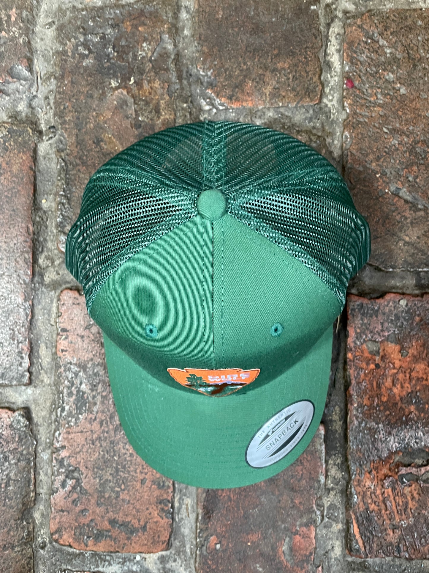 Dire Wolf baseball Hat
