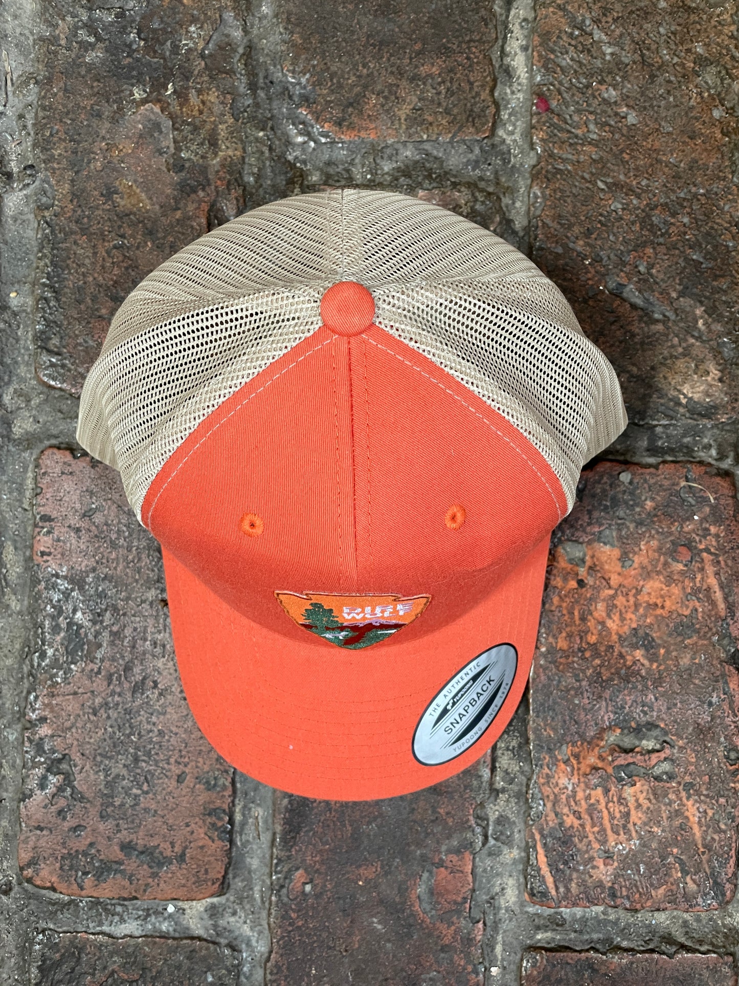 Dire Wolf baseball Hat