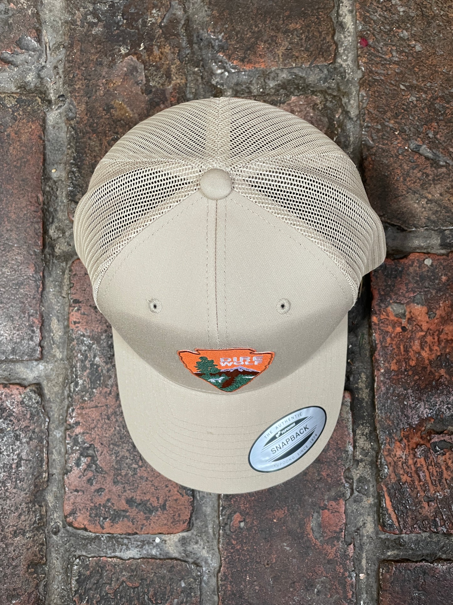 Dire Wolf baseball Hat