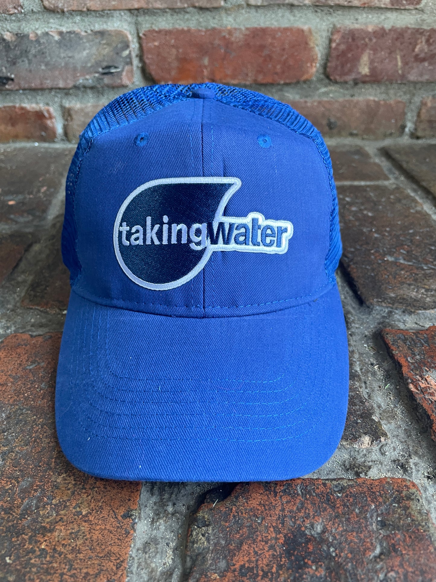 Billy Strings TAKING WATER Baseball Hats. Very High end