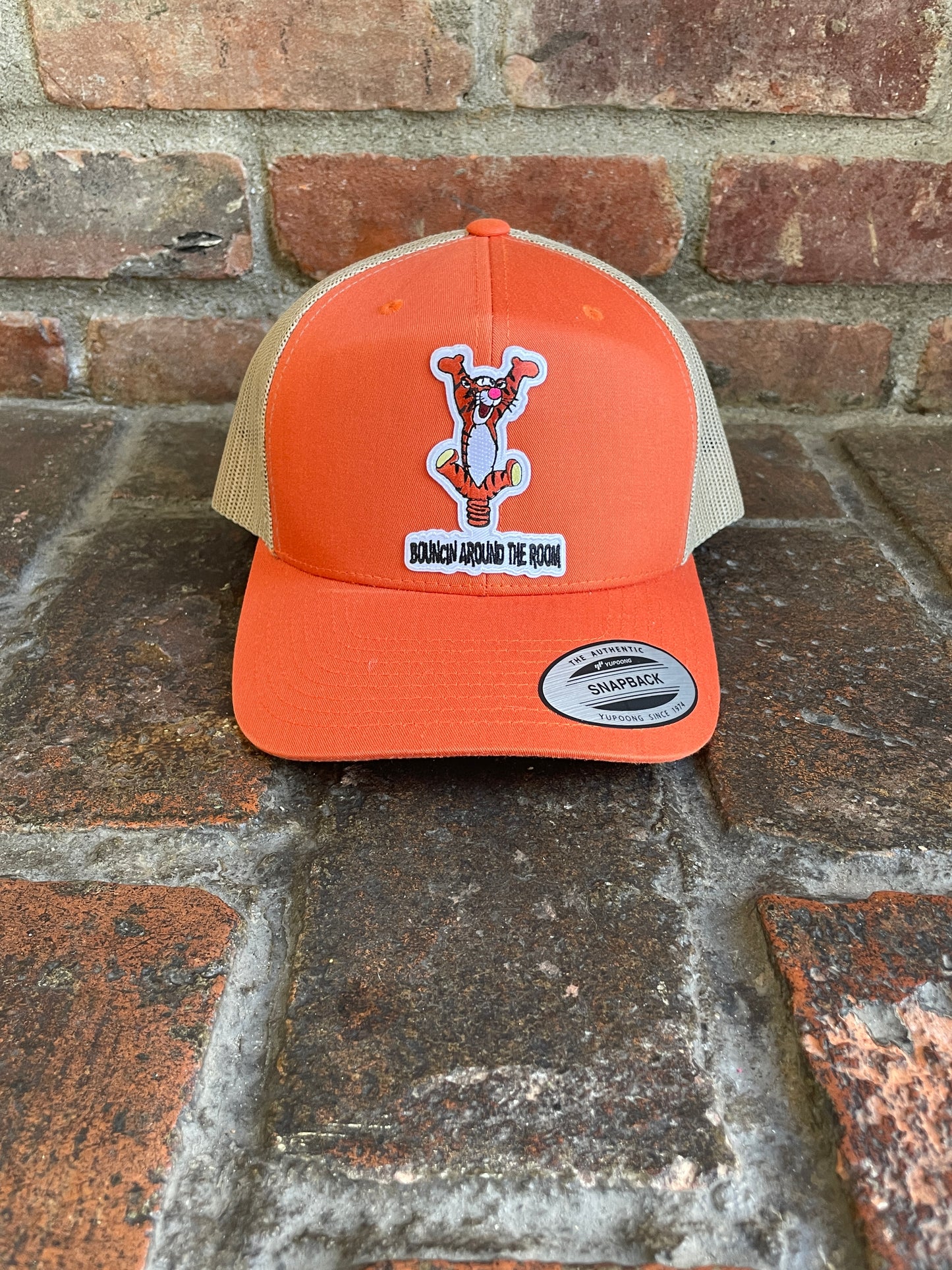 Bouncin Around the Room Phish Baseball Hat