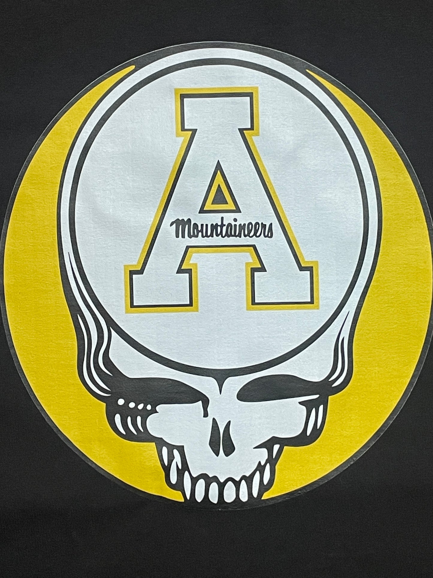 GRATEFUL DEAD Apalachin State Tee Shirt