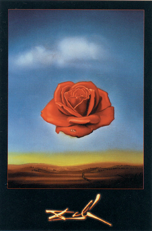 Dali - Rose Meditative - Regular Poster P3709 Size: 24x36
