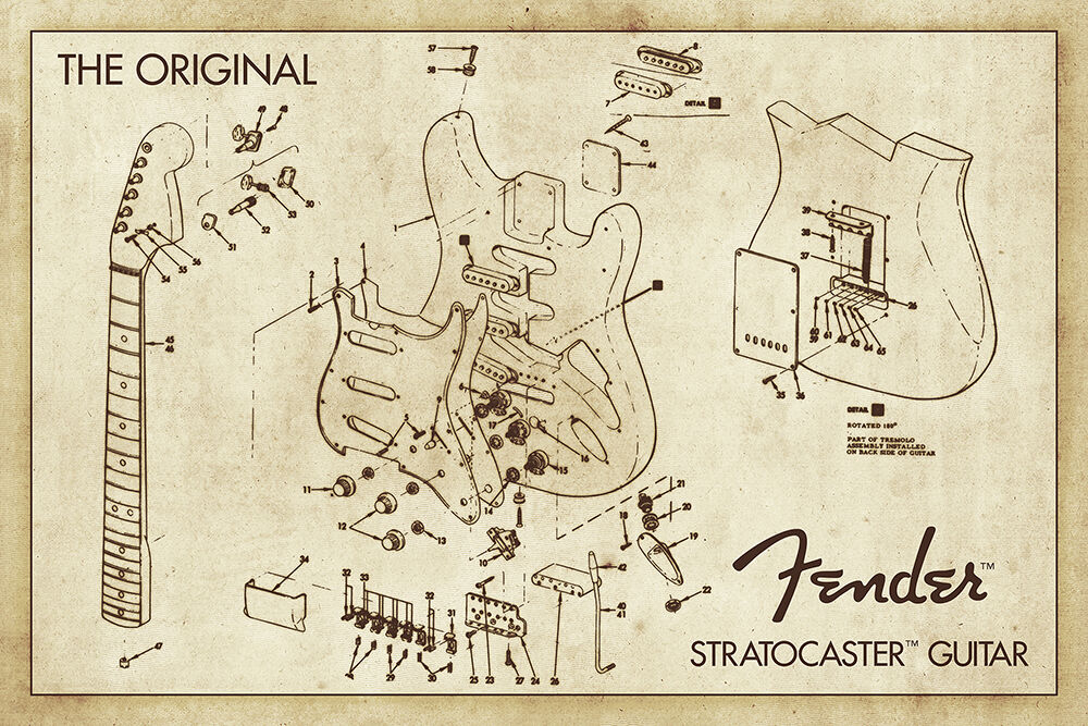 Fender Diagram Regular Poster GratefulPoster GratefulPatch