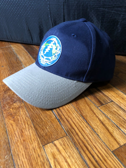 Steely Earth baseball Hat