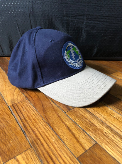 Steely Earth baseball Hat