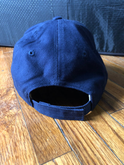 Steely Earth baseball Hat