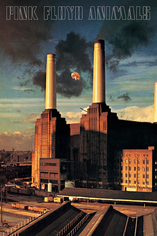 Pink Floyd - Animals - Regular Poster