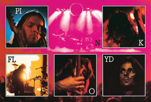 Pink Floyd - Live Collage - Regular Poster