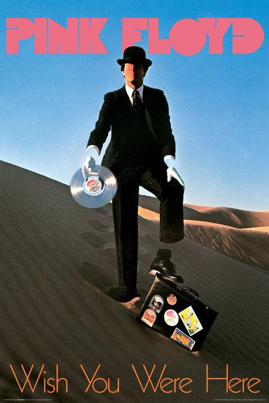 Pink Floyd - Prism - Regular Poster