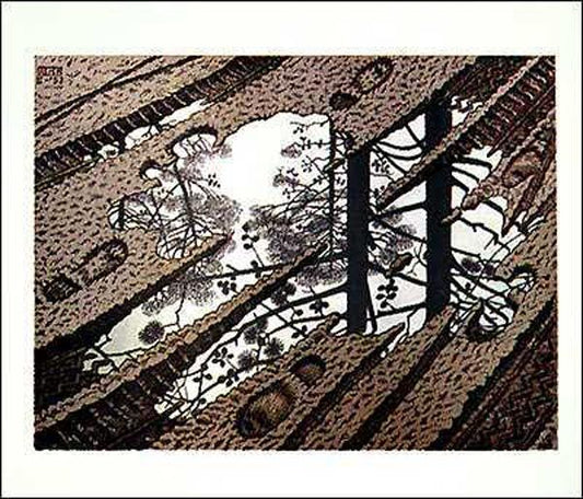 Puddle - Escher Print - Art Poster